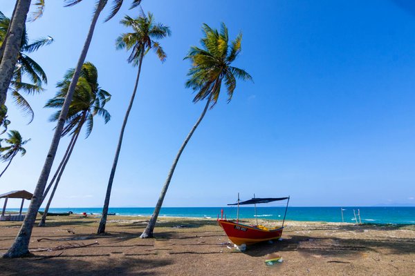 Découvrez les meilleurs city passes pour un voyage mémorable